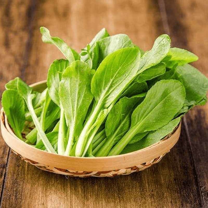 淮安食材批发